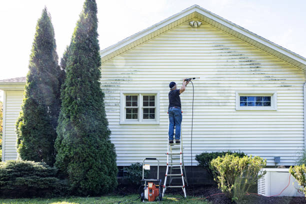 Animal Enclosure Cleaning in Brown City, MI